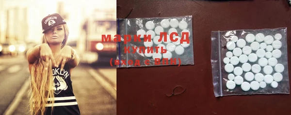 ГАЛЛЮЦИНОГЕННЫЕ ГРИБЫ Пересвет