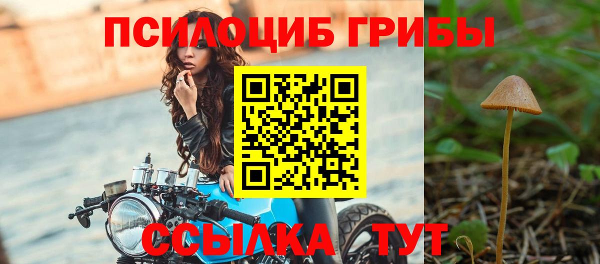 Галлюциногенные грибы прущие грибы  Вход с VPN  Соль-Илецк 