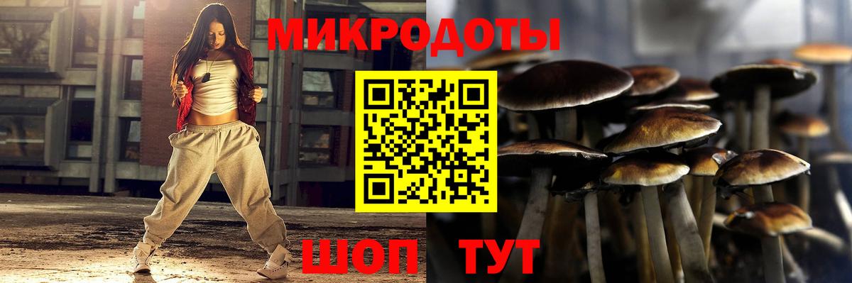 Галлюциногенные грибы прущие грибы Соль-Илецк